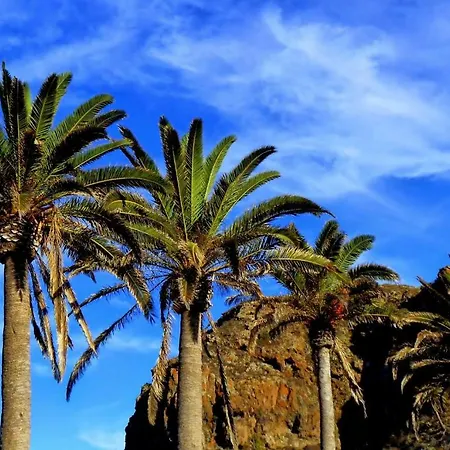 公寓 Phoenix Canariensis San Juan de la Rambla