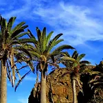 דירה Phoenix Canariensis San Juan de la Rambla