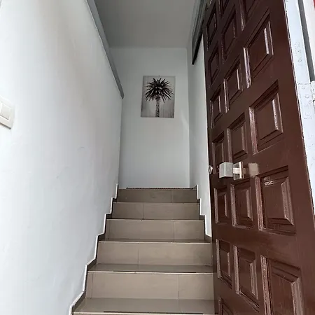 Phoenix Canariensis Appartement