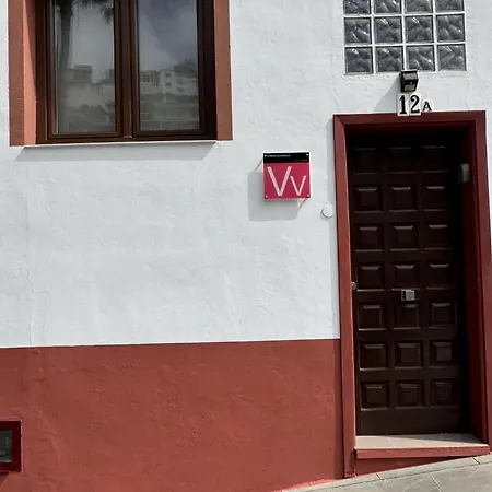 Phoenix Canariensis Appartement