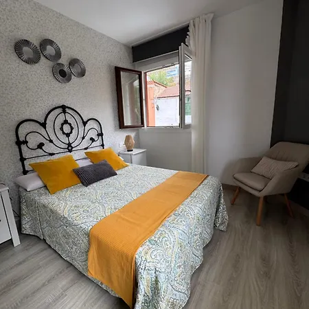 Phoenix Canariensis Appartement *