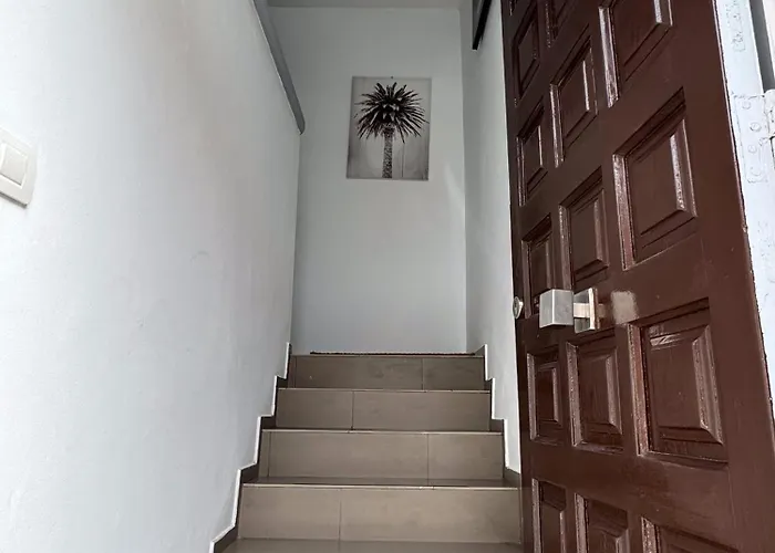 Phoenix Canariensis Apartament