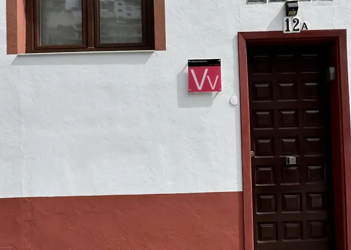 Phoenix Canariensis Appartement