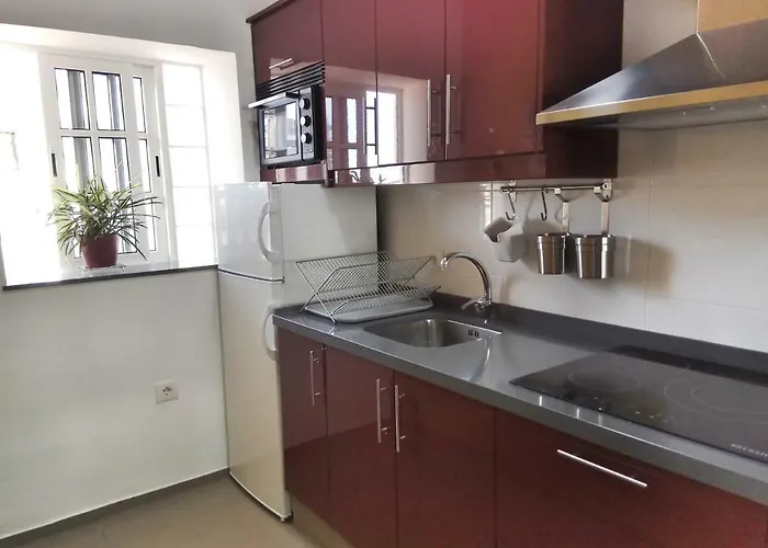 Phoenix Canariensis Appartement