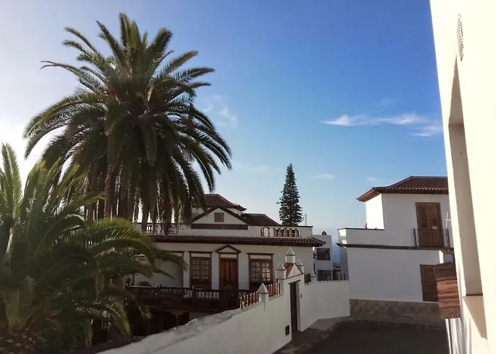 Phoenix Canariensis * San Juan de la Rambla