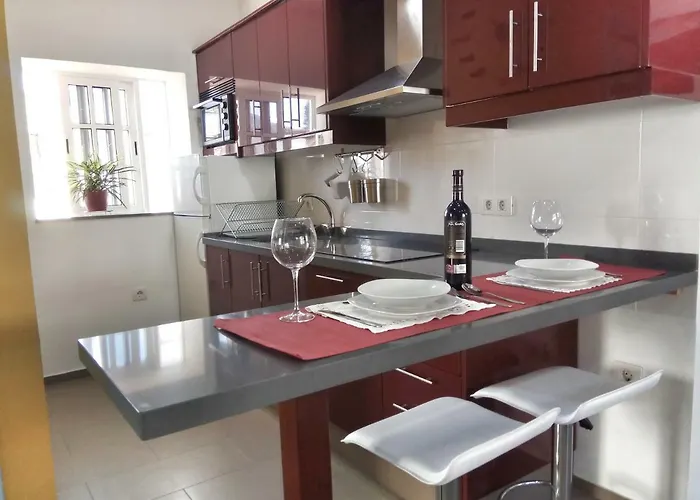 Phoenix Canariensis Appartement