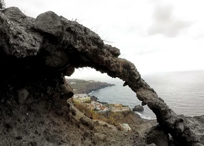 Phoenix Canariensis Apartament