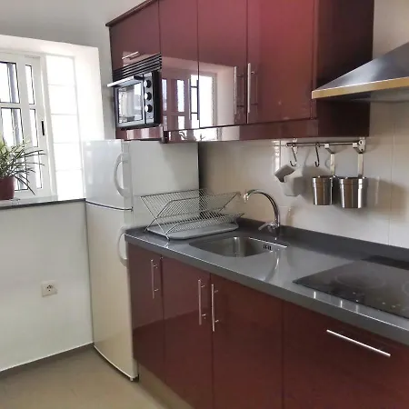 Phoenix Canariensis Appartement