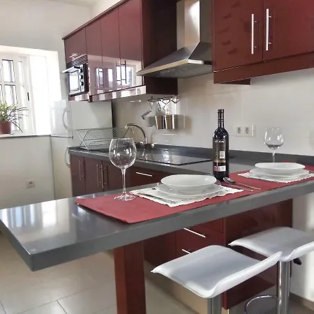 Phoenix Canariensis Apartment