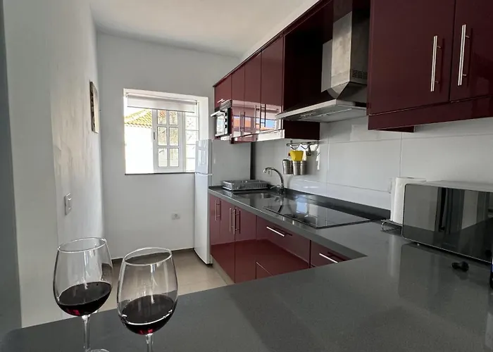 Phoenix Canariensis * San Juan de la Rambla