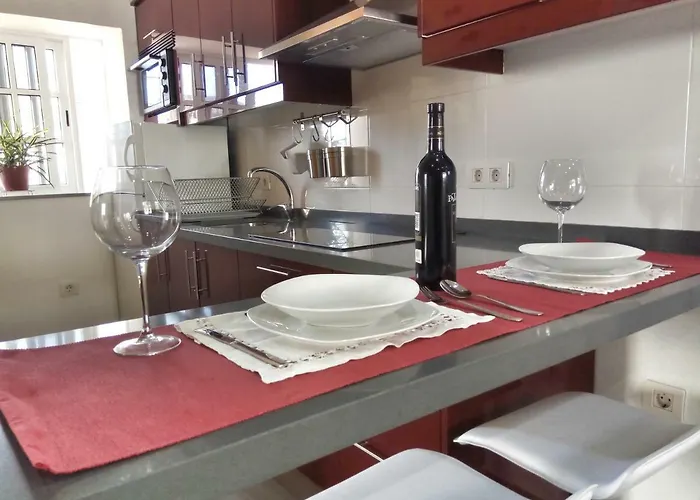 Phoenix Canariensis Apartment