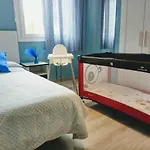 Phoenix Canariensis Apartment