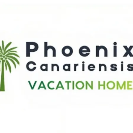 Phoenix Canariensis Appartement